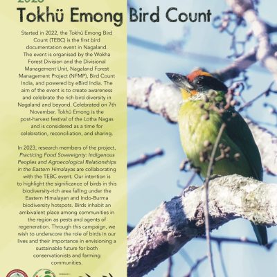 Tokhu-Emong-Bird-Count-Poster-scaled